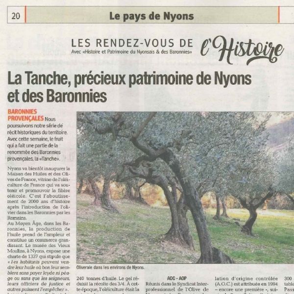 Article La Tribune - Olive de Nyons