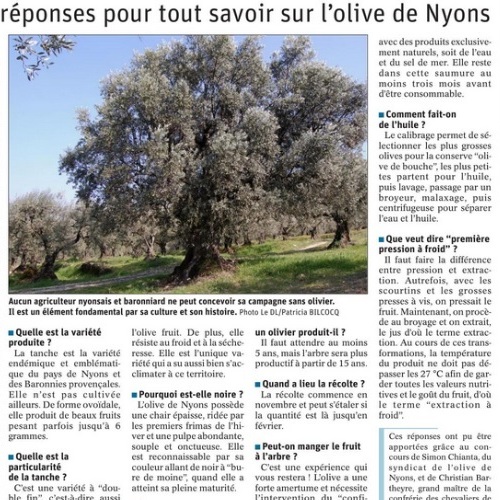 LDL article Olive de Nyons aout 2021